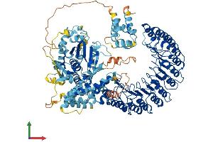 AlphaFold protein structure predicition of Mouse Recombinant Nlrp12 Protein, UniprotID E9Q5R7