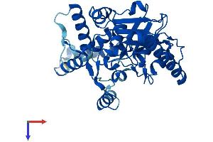 AlphaFold protein structure predicition of Human Recombinant MOGAT1 Protein, UniprotID Q96PD6