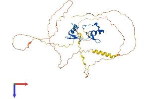AlphaFold protein structure predicition of Mouse Recombinant Gata1 Protein, UniprotID P17679