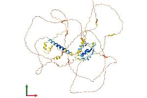 AlphaFold protein structure predicition of Human Recombinant PJA1 Protein, UniprotID Q8NG27