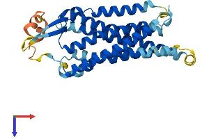 AlphaFold protein structure predicition of Mouse Recombinant Gnrhr Protein, UniprotID Q01776