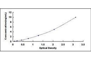 BCL2-Associated Athanogene 3 (BAG3) ELISA Kit