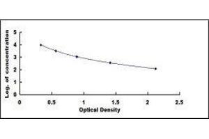 ELISA image for Cross-Linked C-Telopeptides of Type I Collagen (CTX-I) ELISA Kit (ABIN415492)