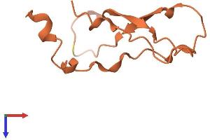 AlphaFold protein structure predicition of Mouse Recombinant Sprr2a1 Protein, UniprotID Q9CQK8