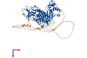AlphaFold protein structure predicition of Mouse Recombinant Chm Protein, UniprotID Q9QXG2