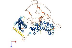 AlphaFold protein structure predicition of Mouse Recombinant Fbxl5 Protein, UniprotID Q8C2S5