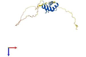 AlphaFold protein structure predicition of Human Recombinant H1-0 Protein, UniprotID P07305