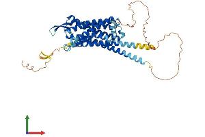 AlphaFold protein structure predicition of Human Recombinant CCKAR Protein, UniprotID P32238