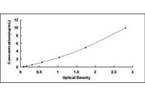 Typical standard curve (ECH1 Kit ELISA)