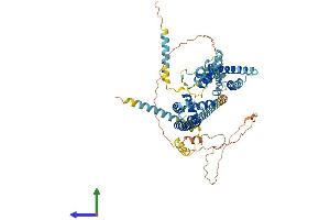 AlphaFold protein structure predicition of Mouse Recombinant Catsper2 Protein, UniprotID A2ARP9
