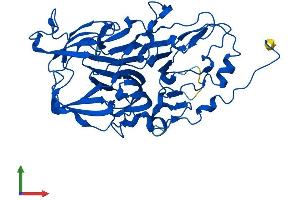 AlphaFold protein structure predicition of Human Recombinant HGD Protein, UniprotID Q93099