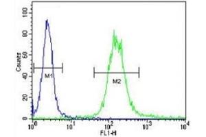 IGF1R antibody flow cytometric analysis of WiDr cells (green) compared to a negative control (blue).