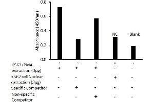 Transcription factor assay of c-FOS from nuclear extracts of K562 cells or K562 cells treated with PMA (50 ng/ml) for 3 hr with the specific competitor or non-specific competitor.