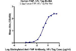Immobilized Human FAP, hFc Tag at 2 μg/mL (100 μL/Well) on the plate.