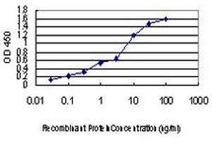 Detection limit for recombinant GST tagged LRP5 is approximately 0.