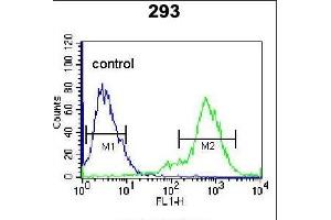 TIEG Antibody (Center) (ABIN655153 and ABIN2844772) flow cytometric analysis of 293 cells (right histogram) compared to a negative control cell (left histogram). (KLF10/TIEG1 anticorps  (AA 198-225))
