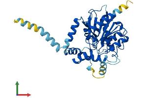 AlphaFold protein structure predicition of Human Recombinant ABHD6 Protein, UniprotID Q9BV23