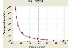 Diagramm of the ELISA kit to detect Rat SOD4with the optical density on the x-axis and the concentration on the y-axis. (Superoxide Dismutase 4, Copper Chaperone Kit ELISA)