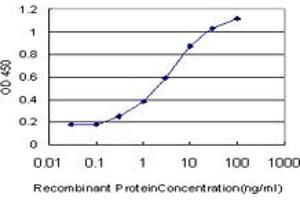 Detection limit for recombinant GST tagged NXT1 is approximately 0. (NXT1 anticorps  (AA 1-140))