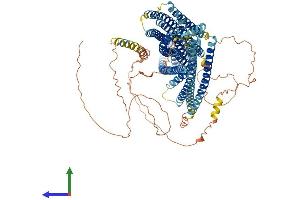 AlphaFold protein structure predicition of Mouse Recombinant Evc Protein, UniprotID P57680