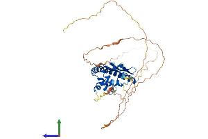 AlphaFold protein structure predicition of Mouse Recombinant Tspyl1 Protein, UniprotID O88852