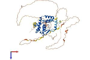 AlphaFold protein structure predicition of Mouse Recombinant Nfia Protein, UniprotID Q02780