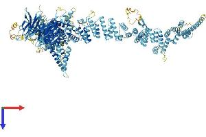 AlphaFold protein structure predicition of Mouse Recombinant Nup160 Protein, UniprotID Q9Z0W3