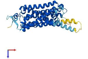 AlphaFold protein structure predicition of Human Recombinant TAAR1 Protein, UniprotID Q96RJ0