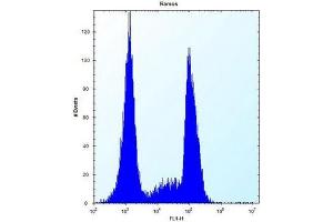 Flow cytometric analysis of Ramos cells using OR10G9 Antibody (C-term) Cat.