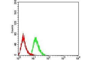 anti-MOB1, Mps One Binder Kinase Activator-Like 1B (MOBKL1B) (AA 1-216) antibody