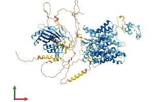 AlphaFold protein structure predicition of Human Recombinant SLC4A10 Protein, UniprotID Q6U841