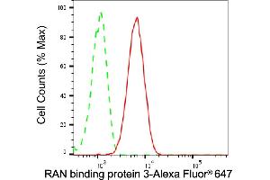 Flow cytometric analysis of RAN binding protein 3 expression in C2C12 cells using RAN binding protein 3 antibody (ABIN7800127), 1:2,000). (Recombinant RanBP3 anticorps)
