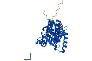 AlphaFold protein structure predicition of Mouse Recombinant Rraga Protein, UniprotID Q80X95