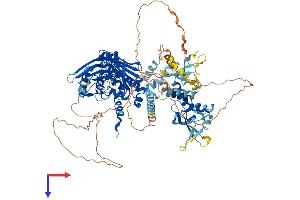 AlphaFold protein structure predicition of Human Recombinant PMS1 Protein, UniprotID P54277