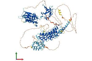 AlphaFold protein structure predicition of Human Recombinant NFKB1 Protein, UniprotID P19838