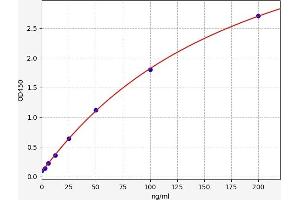 Typical standard curve (C-Type Lectin Domain Family 4, Member M (CLEC4M) Kit ELISA)
