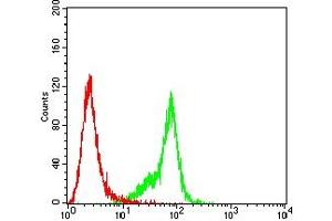Flow cytometric analysis of Hela cells using SP17 mouse mAb (green) and negative control (red).