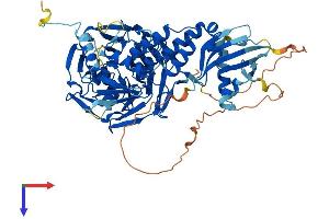 AlphaFold protein structure predicition of Human Recombinant IVNS1ABP Protein, UniprotID Q9Y6Y0