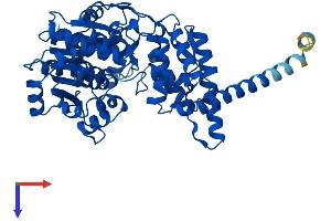 AlphaFold protein structure predicition of Human Recombinant FAR1 Protein, UniprotID Q8WVX9