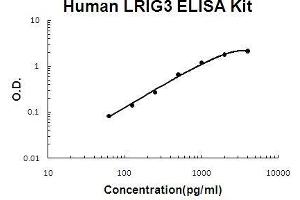 Human LRIG3 PicoKine ELISA Kit standard curve (LRIG3 Kit ELISA)