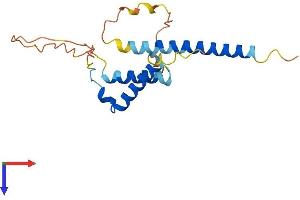 AlphaFold protein structure predicition of Mouse Recombinant Mid1ip1 Protein, UniprotID Q9CQ20