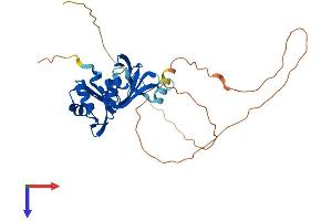 AlphaFold protein structure predicition of Mouse Recombinant Hnrnpa1 Protein, UniprotID P49312
