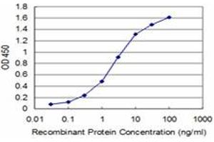 Detection limit for recombinant GST tagged BOLL is approximately 0. (BOLL anticorps  (AA 185-283))