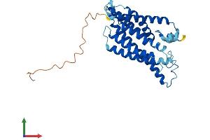 AlphaFold protein structure predicition of Human Recombinant CLN6 Protein, UniprotID Q9NWW5