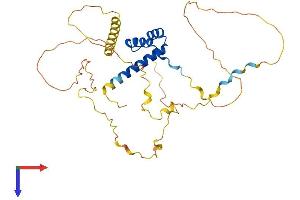 AlphaFold protein structure predicition of Human Recombinant HOXD11 Protein, UniprotID P31277