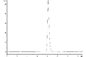 The purity of Biotinylated Human LILRB1 is greater than 95 % as determined by SEC-HPLC.