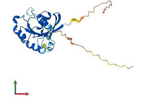 AlphaFold protein structure predicition of Mouse Recombinant Rab33b Protein, UniprotID O35963