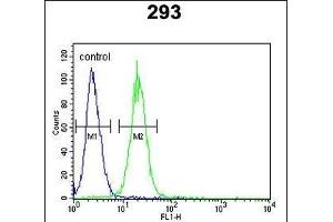 KCNQ1 Antibody (Center) (ABIN652891 and ABIN2842576) flow cytometric analysis of 293 cells (right histogram) compared to a negative control cell (left histogram). (KCNQ1 anticorps  (AA 513-540))