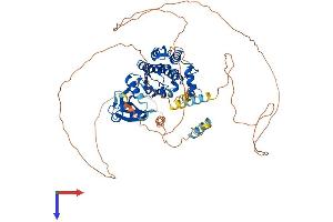 AlphaFold protein structure predicition of Human Recombinant DCLK3 Protein, UniprotID Q9C098