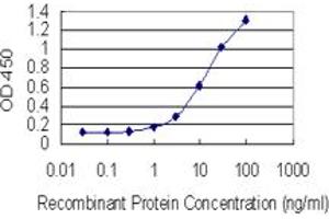 Detection limit for recombinant GST tagged ZSCAN22 is 0. (ZSCAN22 anticorps  (AA 196-294))